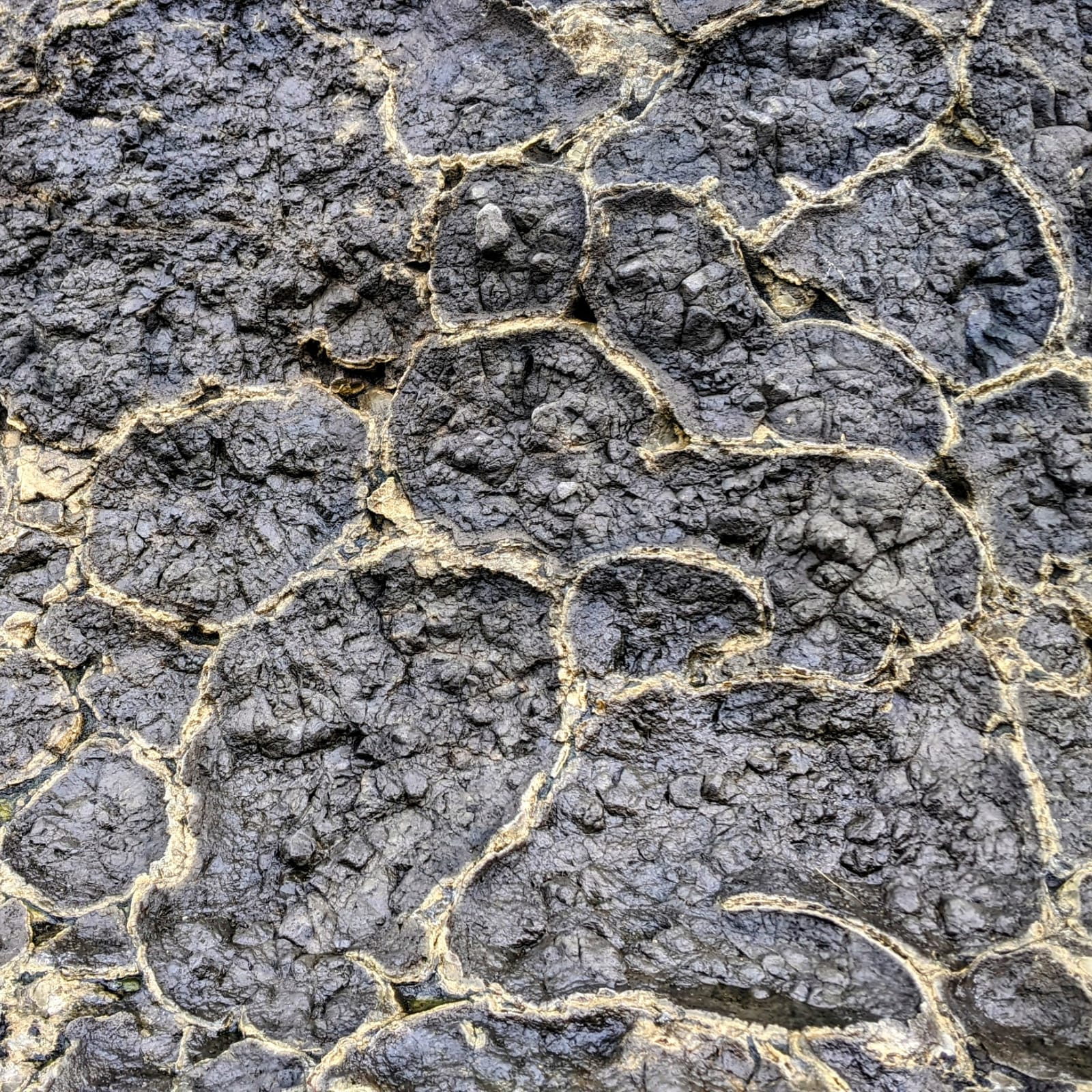 Exposed pillow lavas on Sado Island